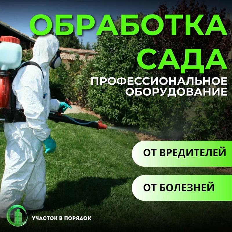 Обработка сада от вредителей и болезней